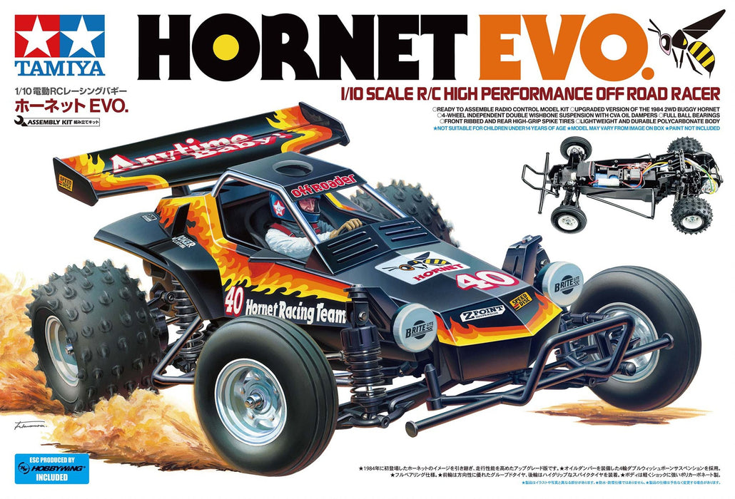 Hornet Evo 1/10th Electric Kit *