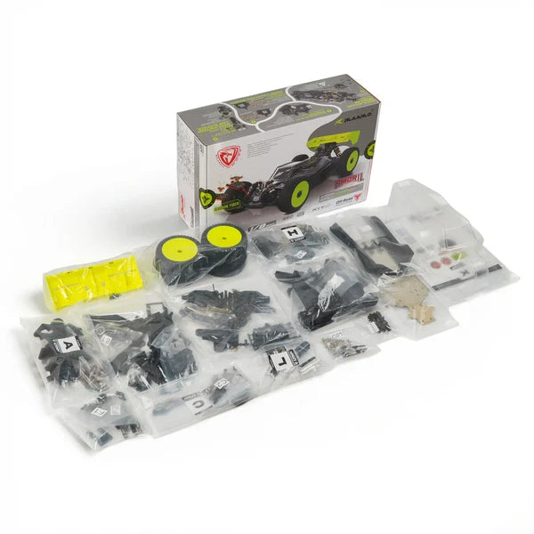 DSK Dragon Scale Knight 1/8th Race Buggy Kit